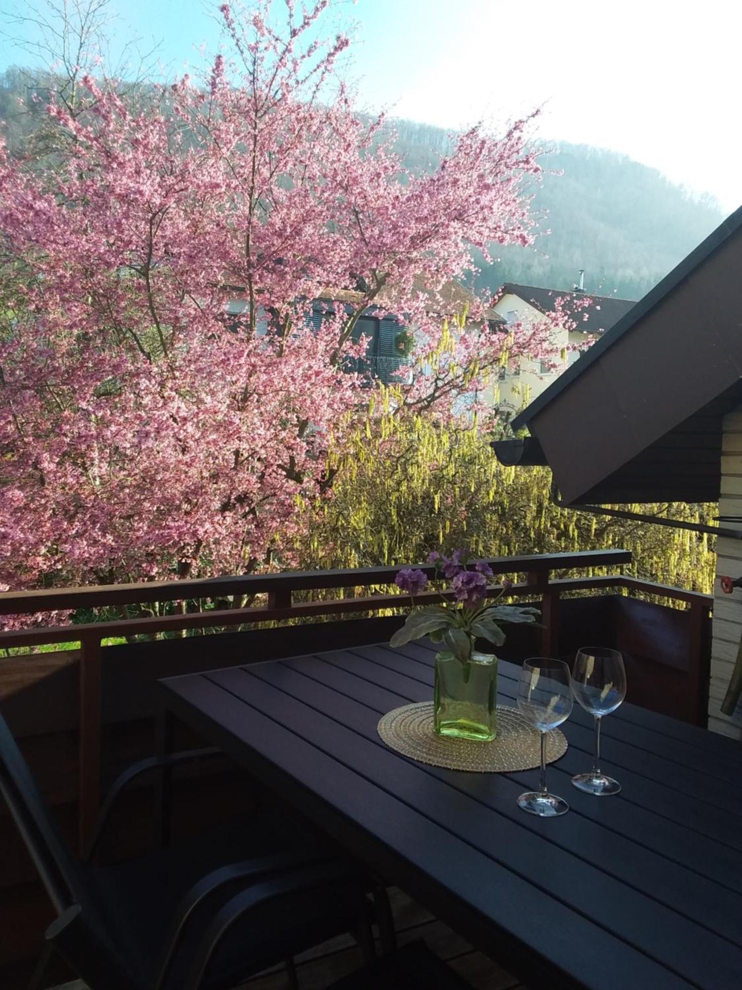 Sterngaessle Apartment Deggingen Bagian luar foto